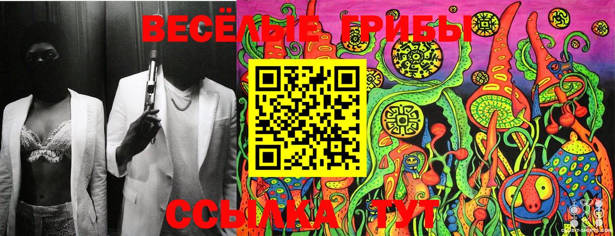 Галлюциногенные грибы GOLDEN TEACHER  Будённовск 