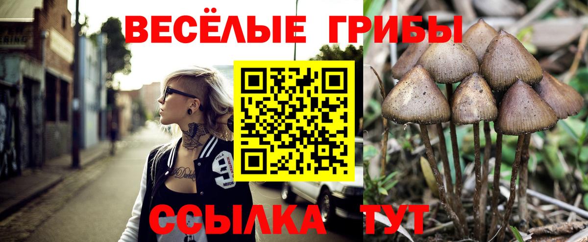 Псилоцибиновые грибы GOLDEN TEACHER  Галлюциногенные грибы мицелий  Вход с VPN  Будённовск 